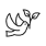 Dove of Peace Icon